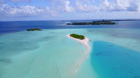 Aerial drone tourism of tourist beach wildlife by ocean and sand background alt