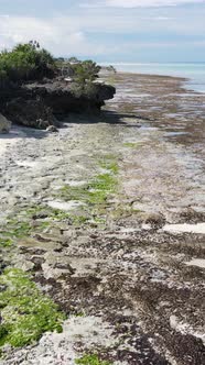 Vertical Video of Low Tide in the Ocean Near the Coast of Zanzibar Tanzania alt