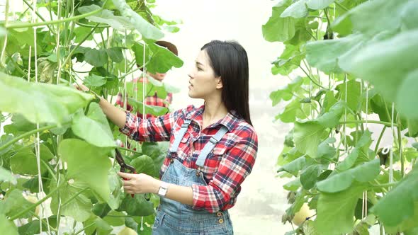 Young Asian Male Farmer Running to His Partner to Show Agricultural Product alt
