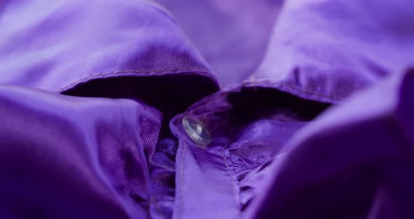 Purple Ruffles Collar Closeup alt