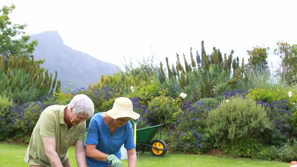 Senior couple gardening together alt