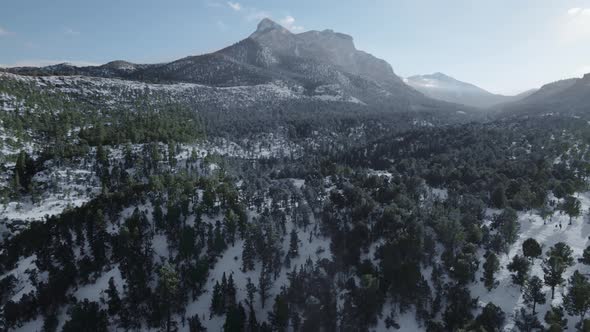 Aerial view of Mount Charleston in the fog, Spring Mountains, Nevada, USA alt