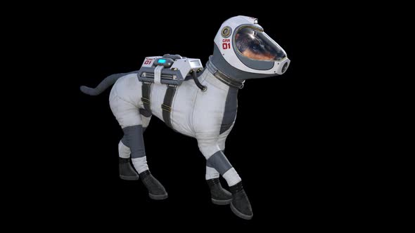 Dog in the Spacesuit Going