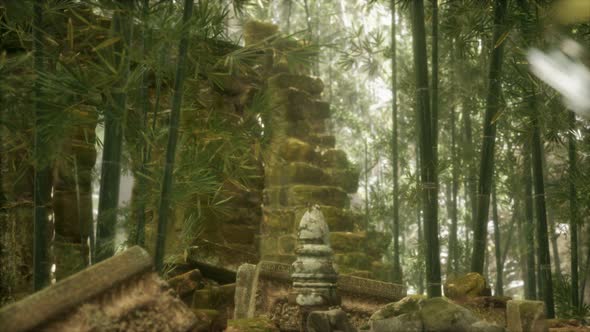 The Ruins of Ancient Buildings in Green Bamboo Forest alt