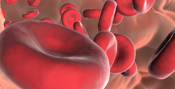 Red Cells Of Blood alt