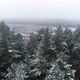 The drone flies over the snowy peaks of the trees - VideoHive Item for Sale
