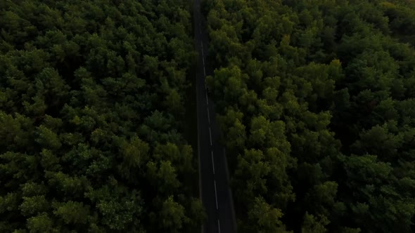 Aerial view of the highway in the Curonian Spit alt