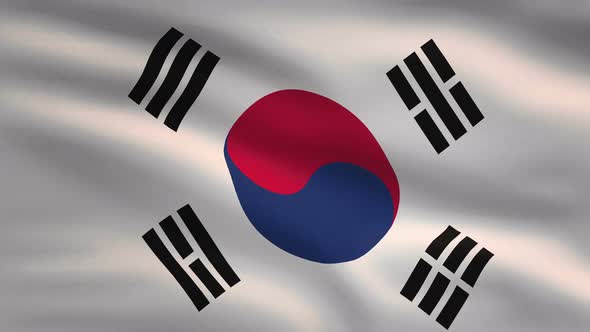 South Korea Windy Flag Background 4K alt
