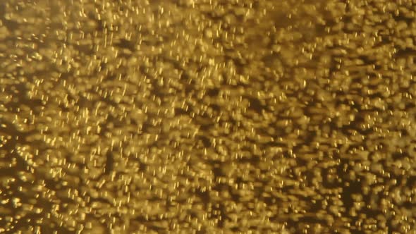 Macro Shot of Floating Bubbles in Gold Fresh Beer in Slow Motion, Poured Lager, Alcohol Beverage alt