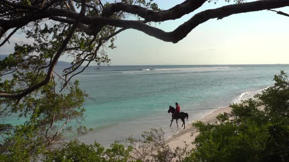 Majestic View on a Handsome Man Riding Horse on the Ocean Coast Horseman in the Sea Fascinating alt