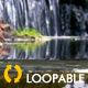 Cascade Waterfall - Full HD - Loop - VideoHive Item for Sale