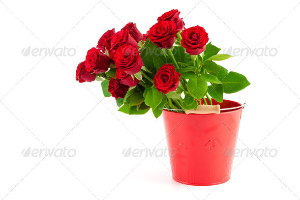 bouquet of bright red roses in a red bucket