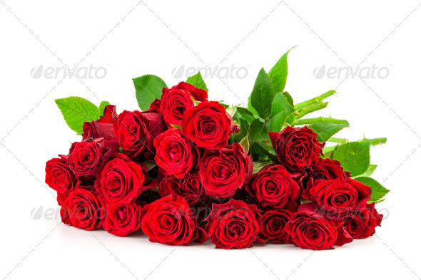 bouquet of red roses on a white background - Stock Photo - Images
