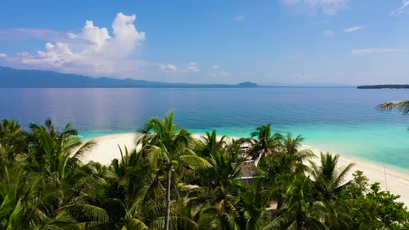 Summer Beach Landscape alt