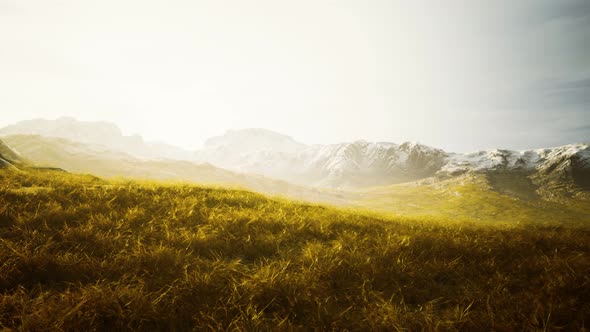Dry Grass and Snow Covered Mountains in Alaska alt