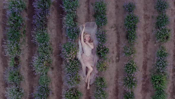 Aerial Cinematic Drone View of Woman Lyingin Colorful Lavender Fields on a Sunny Day Blooming Purple alt