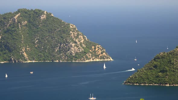 Forested Coastline at Strait on The Sea alt