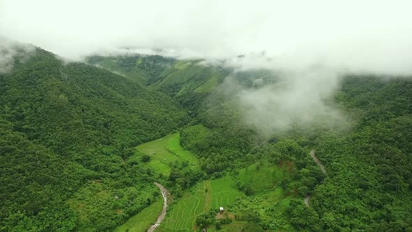 Above Mountain Forest 05