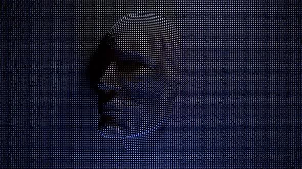 Virtual Man's Head made in Virtual Space