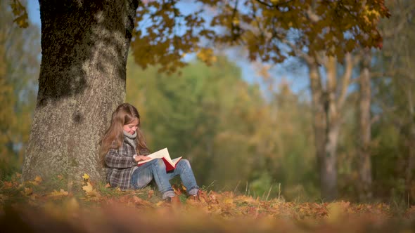 A Child Reads A Book in a Sunny Autumn Park.