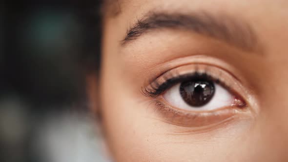 Close Up Macro Eyes of a Black Woman African American Woman Portrait Mix Raced Young Female Student alt
