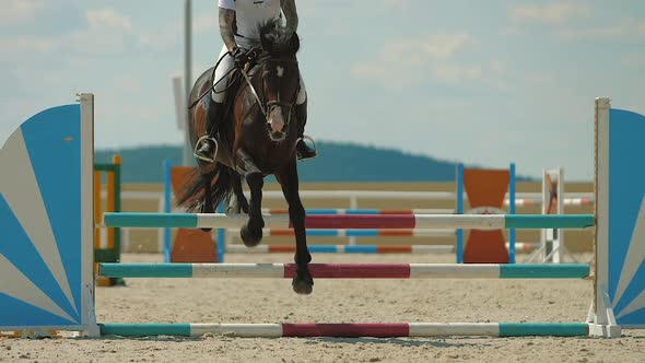 Horse Jumping Over Obstacle on Sandy Parkour Riding Arena Equestrian Competition alt