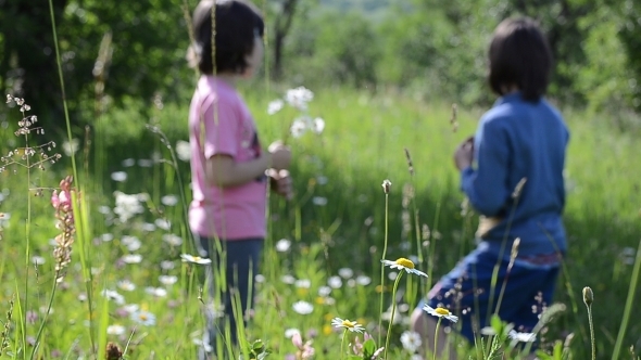 Girls Talking in the Garden 01