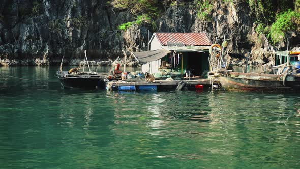 Floating Fishing Village In The Ha Long Bay, Cat Ba Island, Vietnam alt
