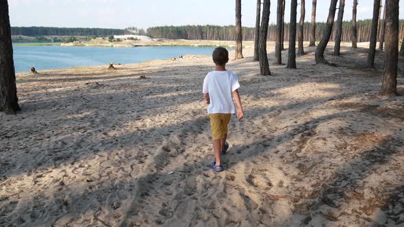 A Boy of 56 Years Old Walks Along the Sand in a Pine Forest and Comes Out to a Lake with Blue Water