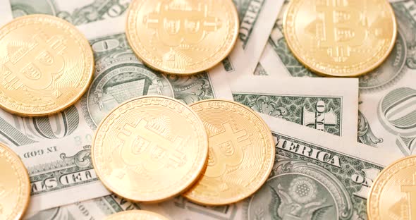 US dollar and bitcoin alt