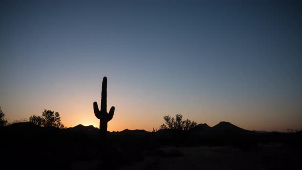 Desert Cactus Sunrise Timelapse alt