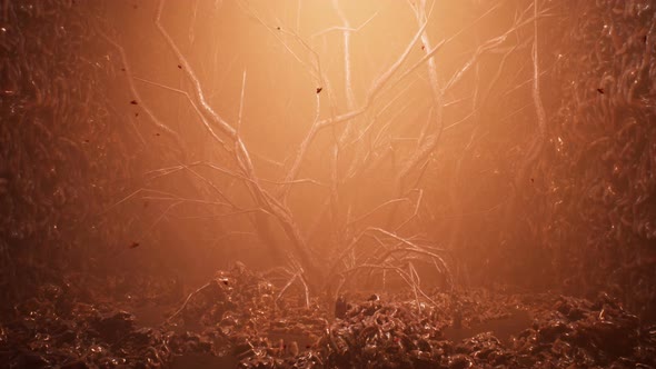 A Creepy Bloody Cave alt