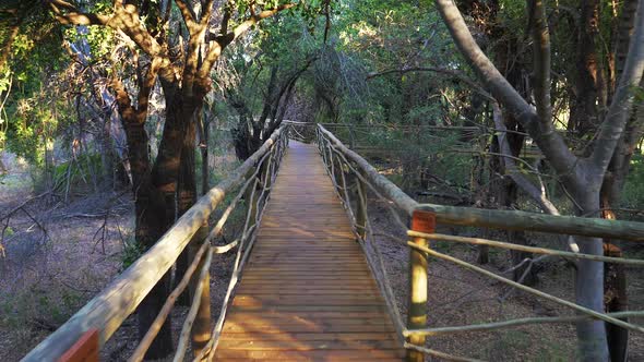 Wooden Walkway Surrounded By Trees Into The Safari Lodge In Okavango Delta, Botswana. - POV- wide ro alt