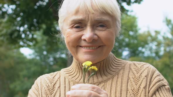 Kind Old Female With Wild Flower Hand Smiling Camera, Environmental Protection