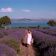 Girl on the Lavender Field - VideoHive Item for Sale