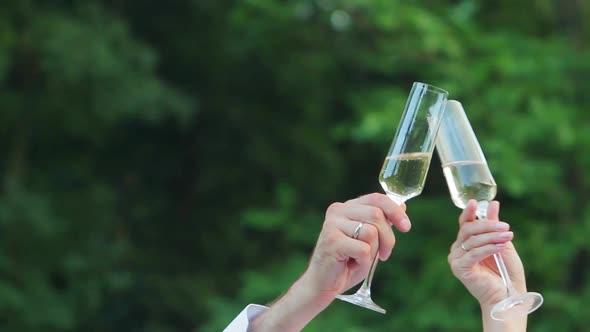 Bride and Groom Clink Glasses. alt
