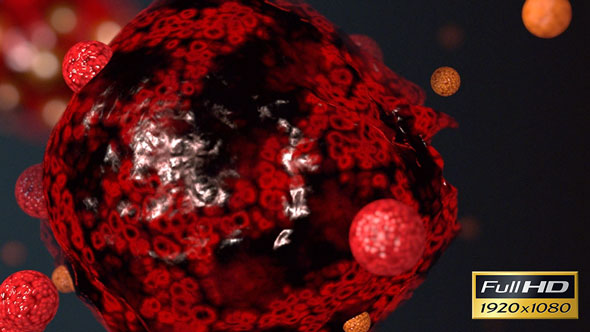 Human Cell Being Attacked by huss007 | VideoHive