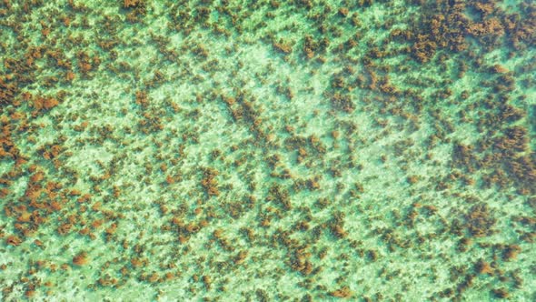 Aerial top down landscape of idyllic island beach voyage by blue sea and white sand background of a  alt