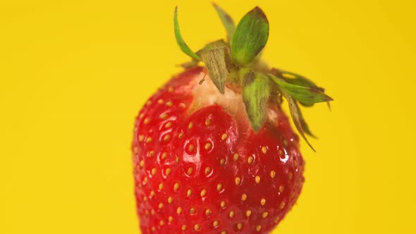 Macro Shot of Fresh Red Strawberry Rotating on Yellow Background alt