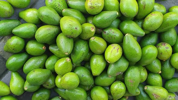 Huge pile of freshly picked harvested green avocado at the local fruit and vegetable market on tropi alt