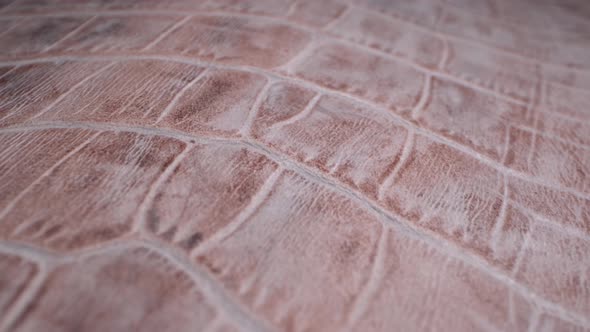 Animal Texture – Exotic Leather very close up. Natural pattern. Fashion and clothing industry alt