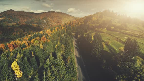 Multicolored Mountainous Wood Scenery Aerial View alt