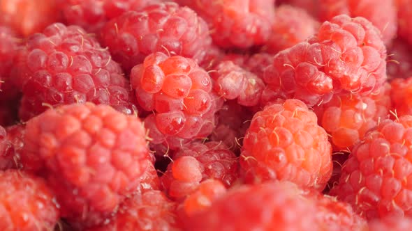 Vitamin rich red Rubus idaeus  fruit background slow tilt 4K 2160p 30fps UltraHD footage - Red Europ