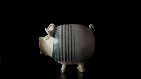 Isolated Shot - Banking on Bitcoin alt