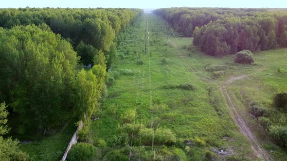 Electric Line in the Forest at Sunset the Concept of Electrification