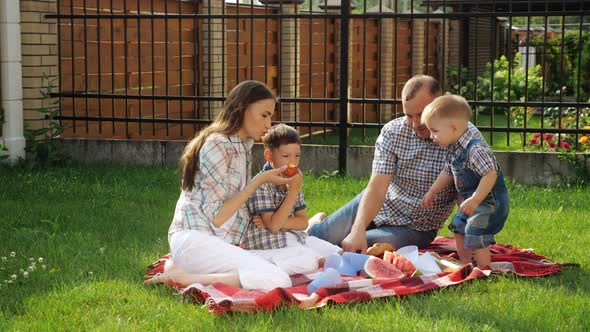 Happy Little Boys Enjoy Picnic with Mother Father Laughing alt