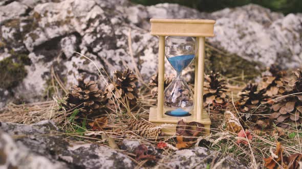 Fall Back Time Change Close Up alt