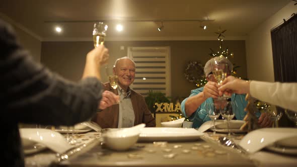 Happy Senior Couples Cheering With Champagne at Home