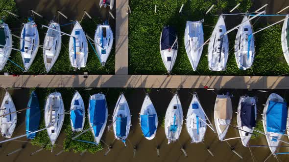 Aerial dolly right of yachts docked inline in Olivos Port with aquatic perennial plants around them, alt