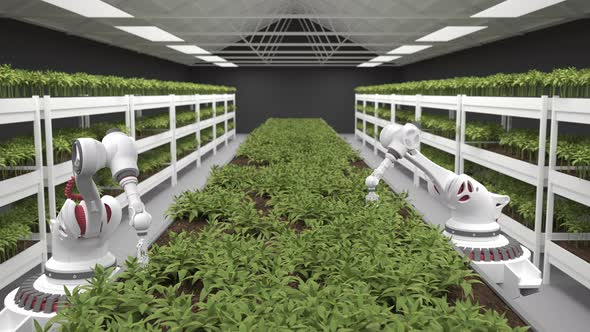 Automated planting process using advanced robot for planting